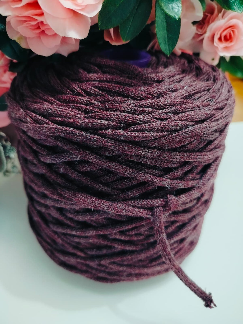 Cotone fettuccia 5mm panna
